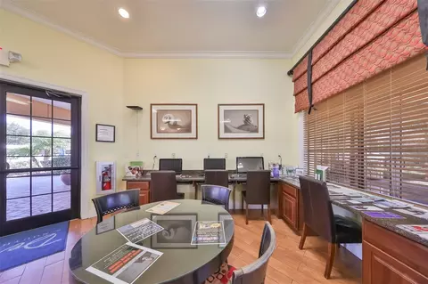 Other - 229 Silver Falls Dr, Apollo Beach, FL 33572 photo 10 of 12