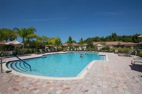 Exterior - 229 Silver Falls Dr, Apollo Beach, FL 33572 photo 15 of 17