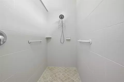 Bath - 229 Silver Falls Dr, Apollo Beach, FL 33572 photo 2 of 3