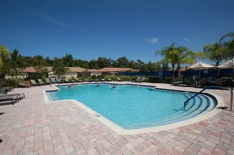 Exterior - 229 Silver Falls Dr, Apollo Beach, FL 33572 photo 16 of 17