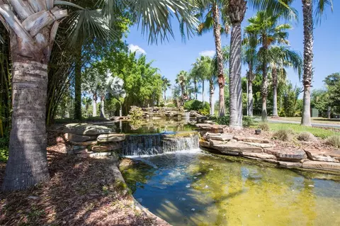 View/Area - 229 Silver Falls Dr, Apollo Beach, FL 33572 photo 7 of 21