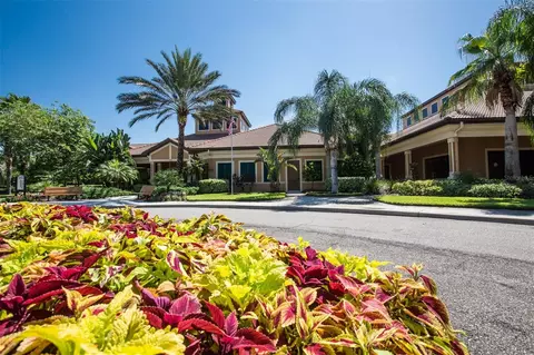 View/Area - 229 Silver Falls Dr, Apollo Beach, FL 33572 photo 9 of 21