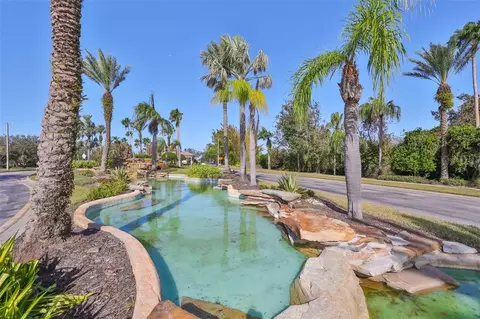 View/Area - 229 Silver Falls Dr, Apollo Beach, FL 33572 photo 8 of 21