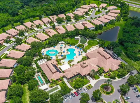 View/Area - 229 Silver Falls Dr, Apollo Beach, FL 33572 photo 11 of 21