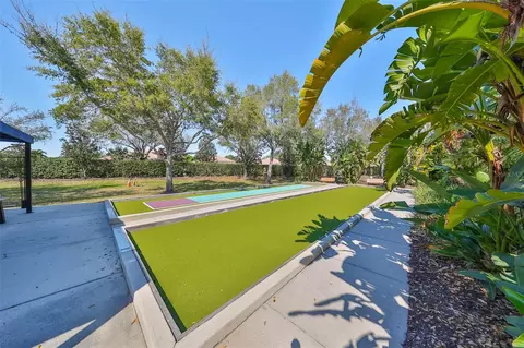 View/Area - 229 Silver Falls Dr, Apollo Beach, FL 33572 photo 14 of 21