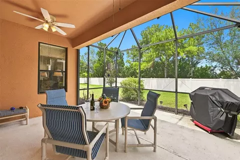 Exterior - 229 Silver Falls Dr, Apollo Beach, FL 33572 photo 6 of 17
