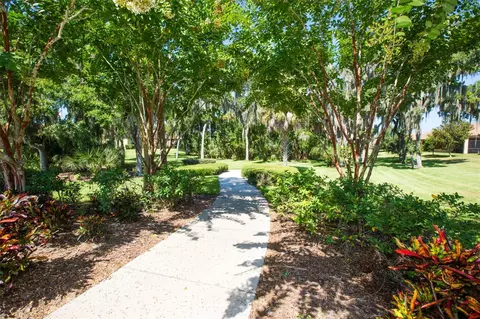 View/Area - 229 Silver Falls Dr, Apollo Beach, FL 33572 photo 16 of 21