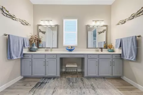 Bath - 5321 Kelper Hook Ct, Wimauma, FL 33598 photo 4 of 10