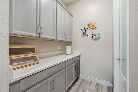 Other - 5321 Kelper Hook Ct, Wimauma, FL 33598 photo 4 of 22