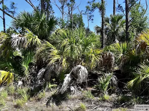 Guttenburg Road, North Port, FL 34288