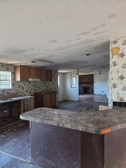 10543 Denton Ave, Hudson, FL 34667 photo 4
