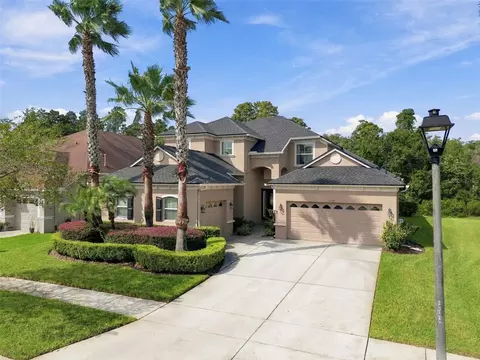 3339 Diamond Falls Cir, Land O Lakes, FL 34638