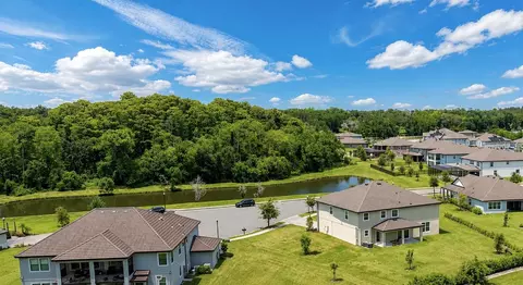 View/Area - 9307 Parisian Ct, Seffner, FL 33584 photo 2 of 3