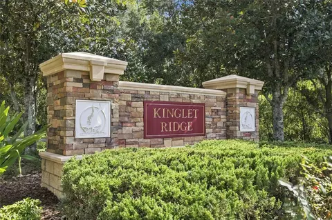 View/Area - 5519 Kinglethill Dr, Lithia, FL 33547 photo 2 of 12