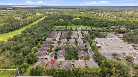View/Area - 5519 Kinglethill Dr, Lithia, FL 33547 photo 8 of 12