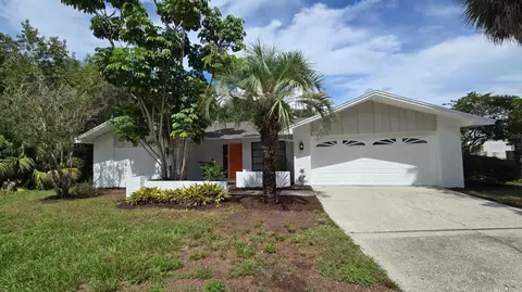 1381 Forest Lawn Ct, Tarpon Springs, FL 34689
