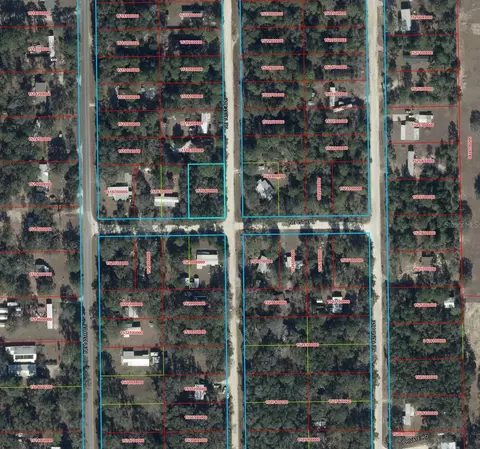 14111 NE 45th Pl, Williston, FL 32696 photo 3