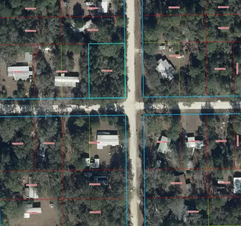 14111 NE 45th Pl, Williston, FL 32696 photo 2