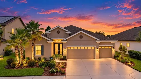 8118 Water Color Dr, Land O Lakes, FL 34638