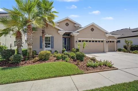 8118 Water Color Dr, Land O Lakes, FL 34638