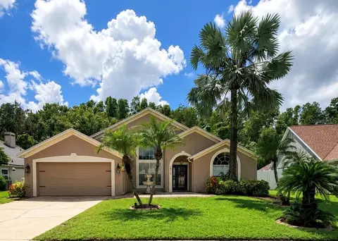 6518 Appaloosa Dr, Tampa, FL 33625