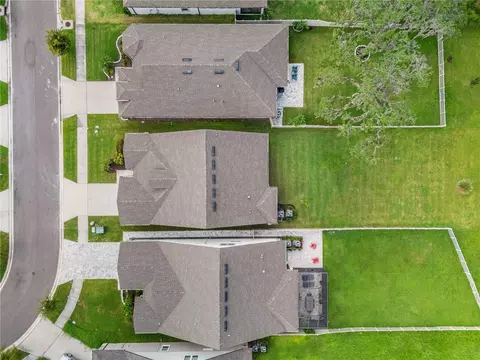 View/Area - 9594 Rally Spring Loop, Wesley Chapel, FL 33545 photo 5 of 15