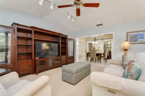 Living - 3917 King Dr, Brandon, FL 33511 photo 3 of 6