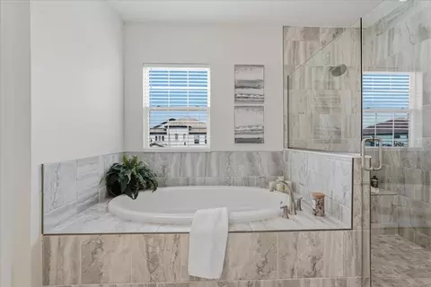 Bath - 11232 Rustic Timber Loop, San Antonio, FL 33576 photo 5 of 9