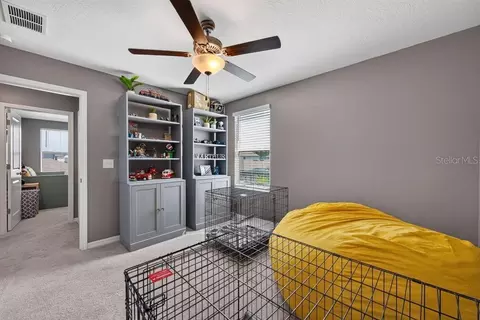 Other - 2148 Shining Azul Way, Lutz, FL 33558 photo 22 of 23