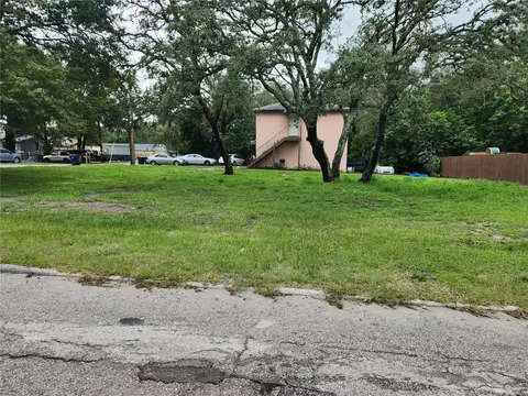 1006 E Poinsettia Ave, Tampa, FL 33612