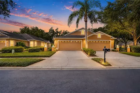 19126 White Wing Pl, Tampa, FL 33647