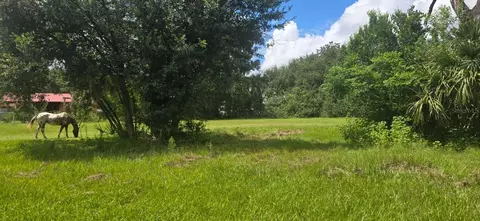 Other - 4511 E Keysville Rd, Lithia, FL 33547 photo 3 of 8