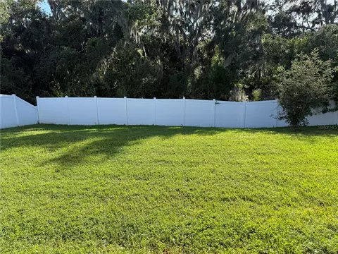 Exterior - 12937 Satin Lily Dr, Riverview, FL 33579 photo 2 of 7