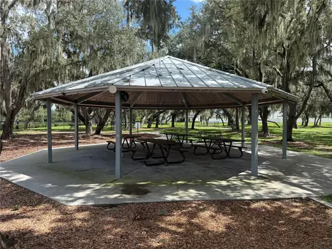 Exterior - 12937 Satin Lily Dr, Riverview, FL 33579 photo 7 of 7