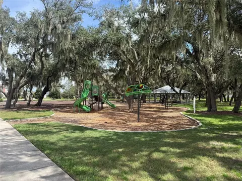Other - 12937 Satin Lily Dr, Riverview, FL 33579 photo 11 of 11