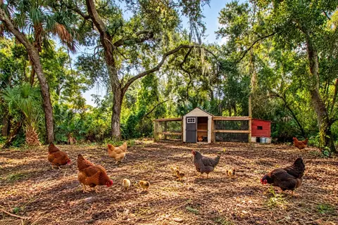 Exterior - 2501 Lightfoot Rd, Wimauma, FL 33598 photo 7 of 11