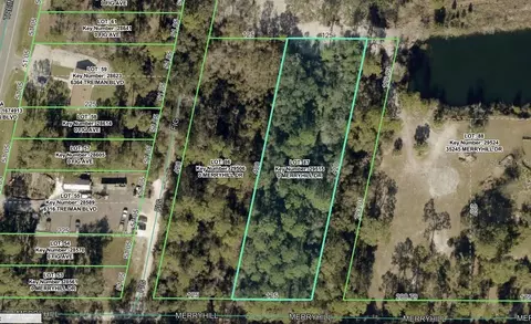 Merryhill Drive, Webster, FL 33597 photo 2