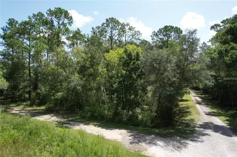 Merryhill Drive, Webster, FL 33597 photo 2