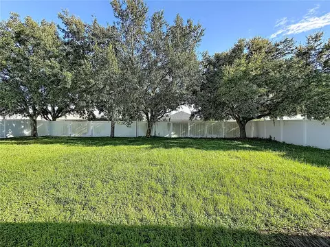Exterior - 31225 Tagus Loop, Wesley Chapel, FL 33545 photo 5 of 7