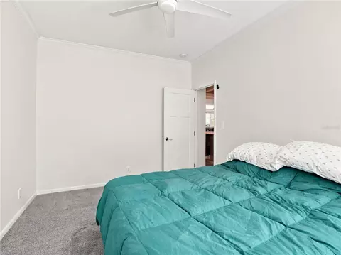 Bedroom - 341 Suncoast Blvd, Spring Hill, FL 34608 photo 2 of 9