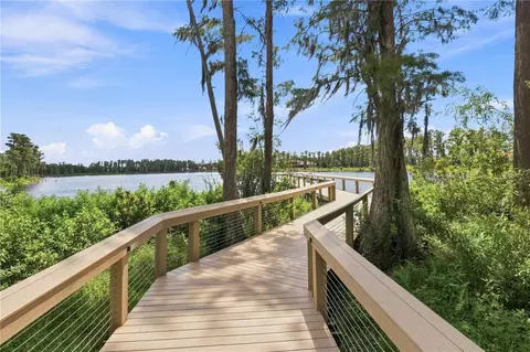 View/Area - 17331 Ladera Estates Blvd, Lutz, FL 33548 photo 3 of 5