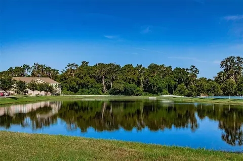 View/Area - 9540 Tocobaga Pl, Riverview, FL 33578 photo 4 of 4