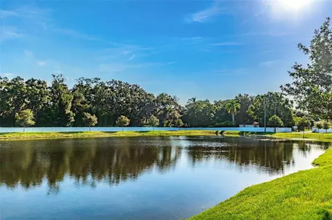 View/Area - 9540 Tocobaga Pl, Riverview, FL 33578 photo 3 of 4