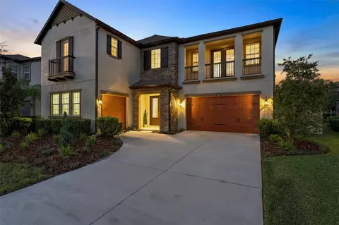 29404 Picana Ln, Wesley Chapel, FL 33543