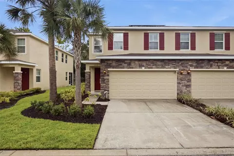 13219 Canopy Creek Dr, Tampa, FL 33625