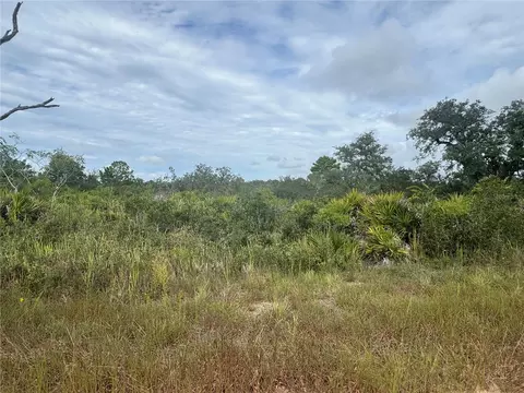 3022 W Petaluma Rd, Avon Park, FL 33825