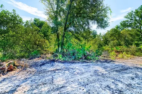 0 Sandstone St, Webster, FL 33597 photo 6