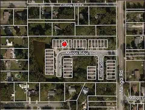 View/Area - 11636 Mango Ridge Blvd, Seffner, FL 33584 photo 1 of 1