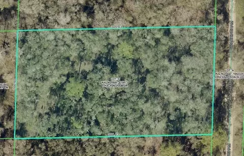 tbd Packingham Dr, Webster, FL 33597 photo 2