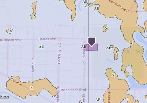 tbd Packingham Dr, Webster, FL 33597 photo 3